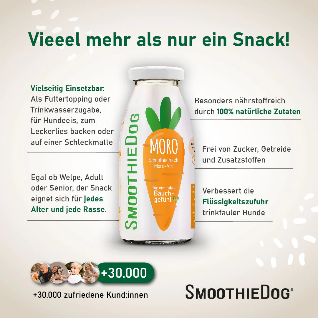 SmoothieDog Morosche Karottensuppe