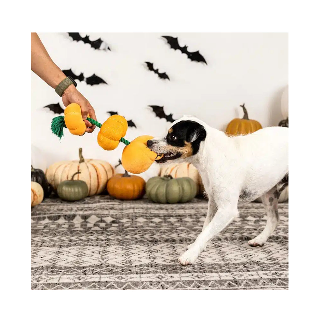 Hundespielzeug Halloween "Stack-o-lantern"