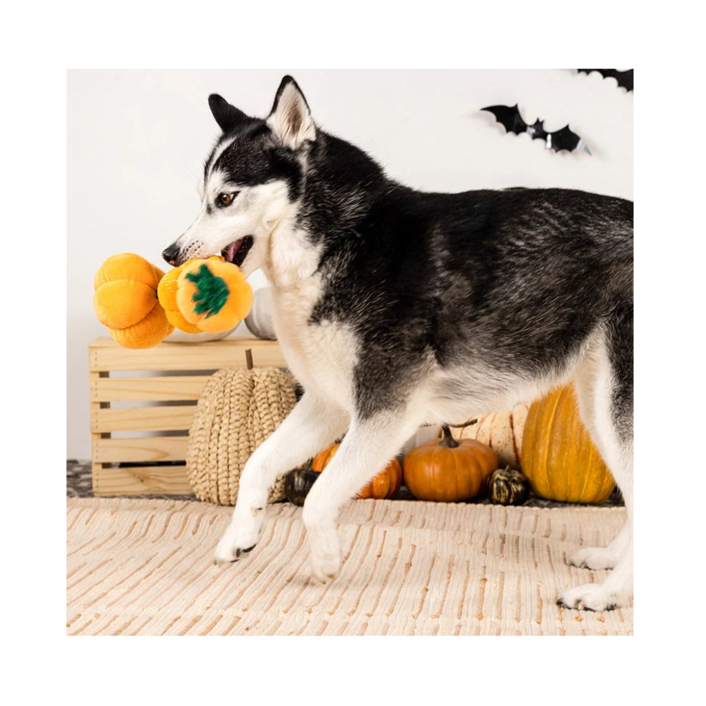 Hund mit Hundespielzeug Halloween "Stack-o-lantern" - PetShop by Fringe Studio