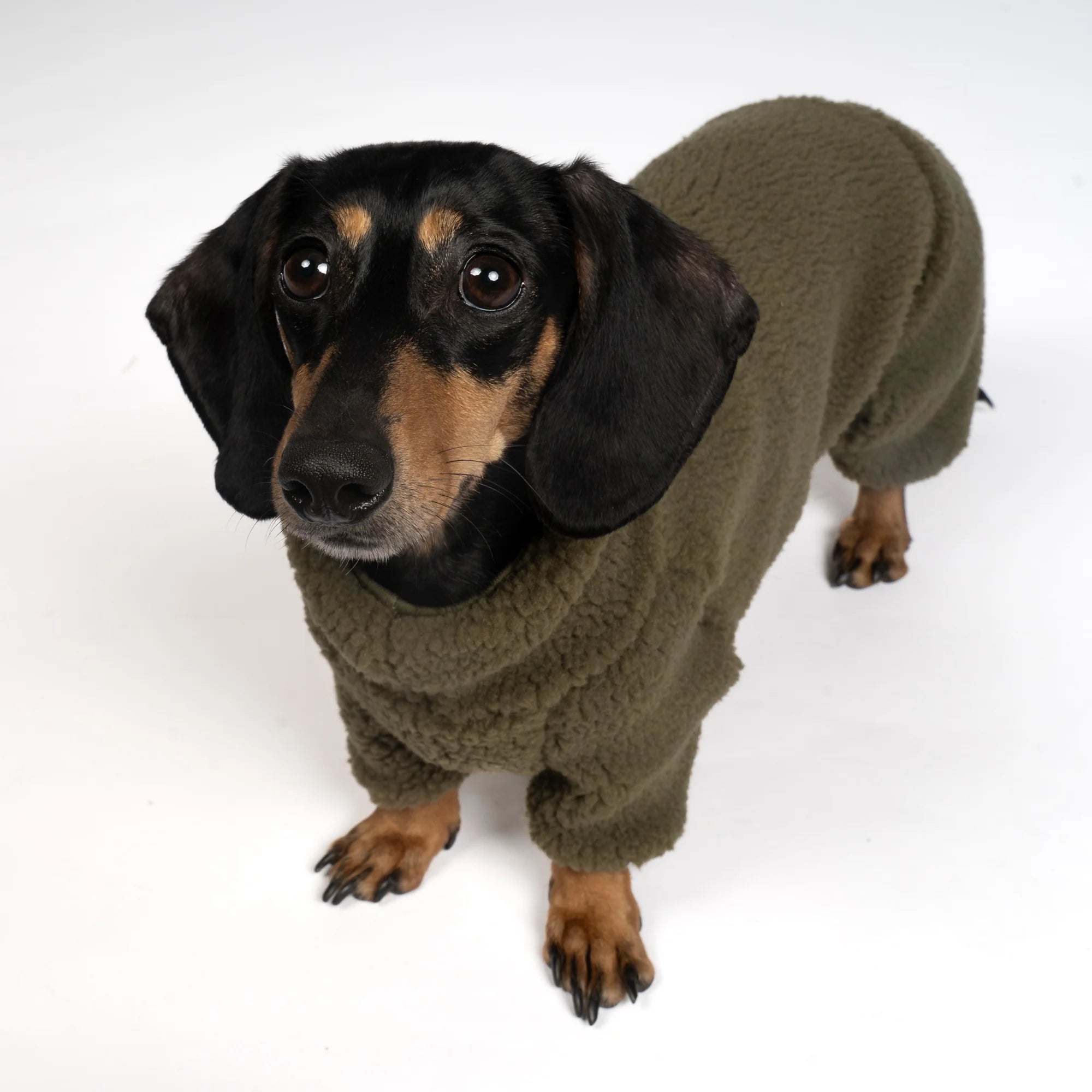 KARMA HUND Teddy Overall für Dackel in Dark Olive