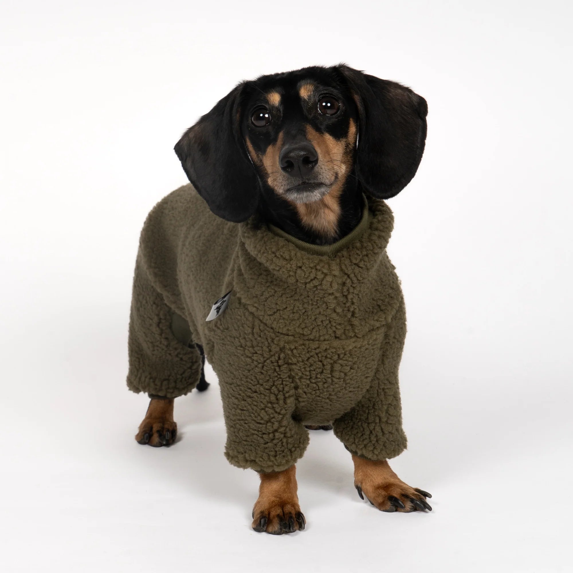 KARMA HUND Teddy Overall für Dackel in Dark Olive