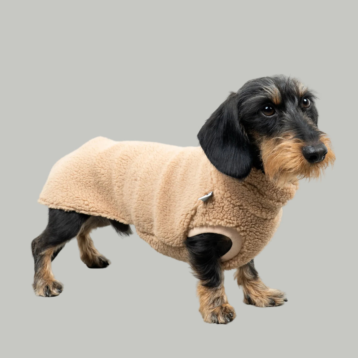 KARMA HUND Teddy Shirt für Dackel in Sand Beige