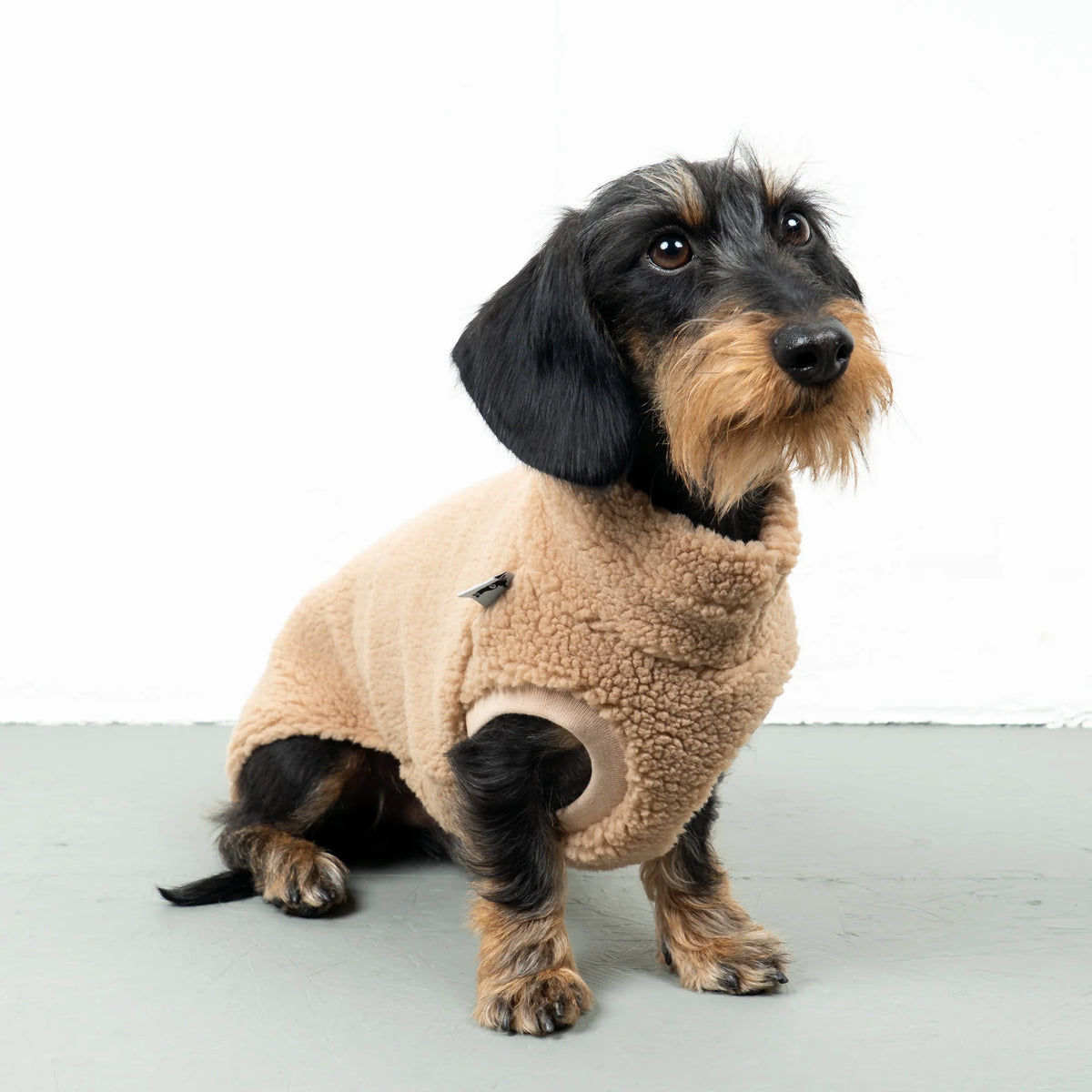 KARMA HUND Teddy Shirt für Dackel in Sand Beige