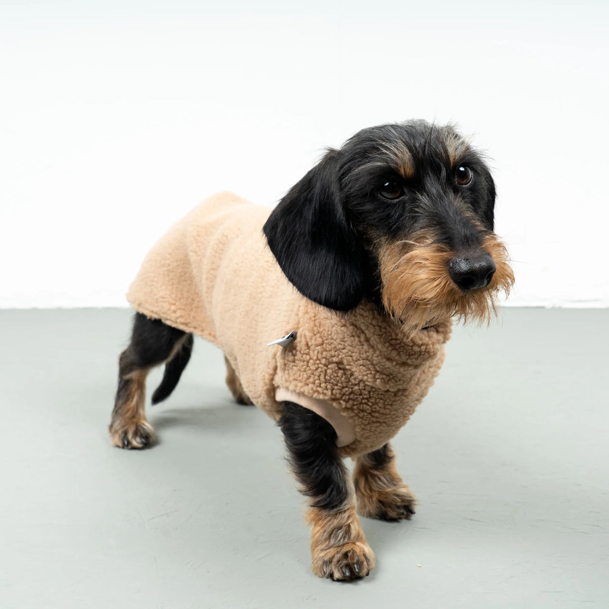 KARMA HUND Teddy Shirt für Dackel in Sand Beige