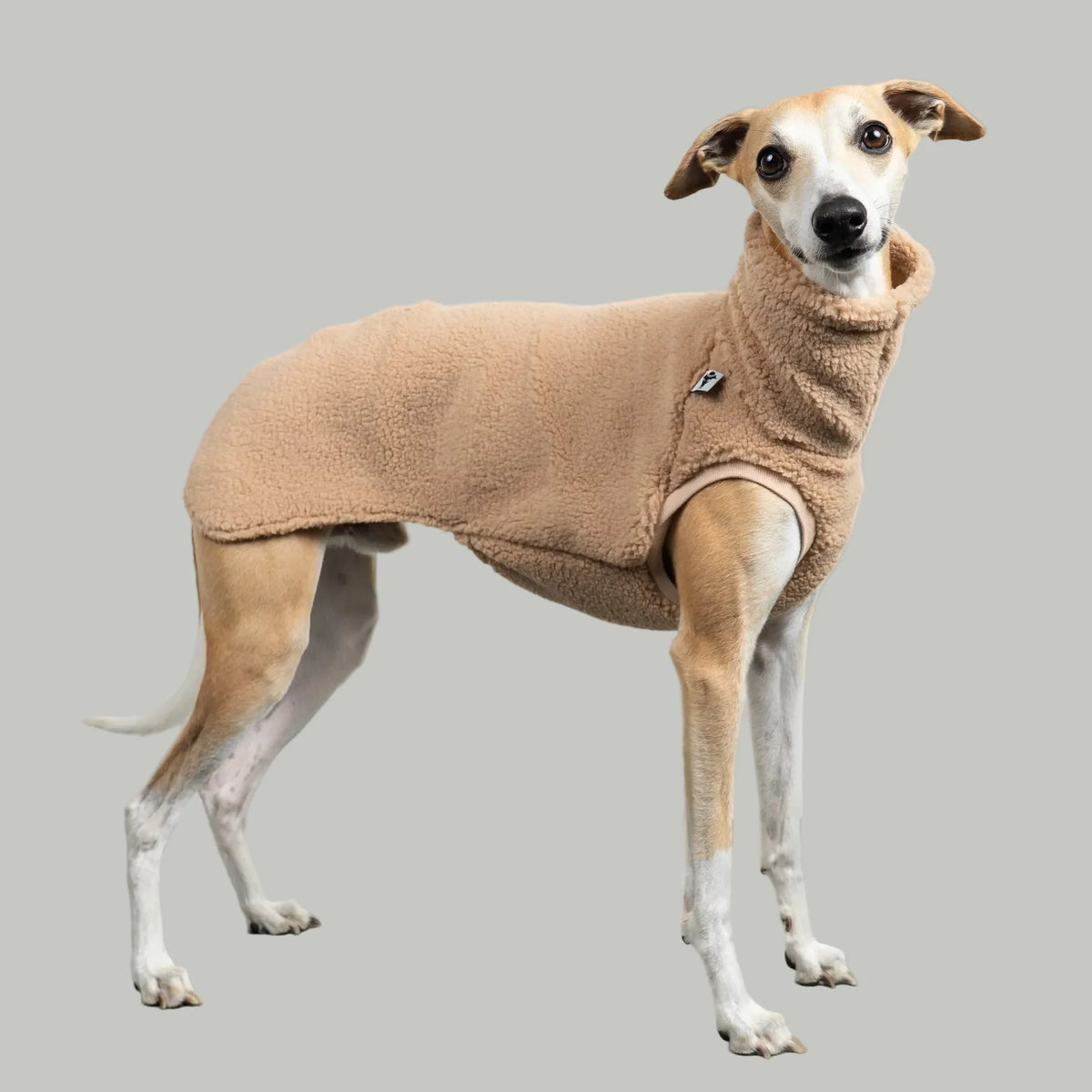 KARMA HUND Teddy Shirt für Windhund in SAND BEIGE
