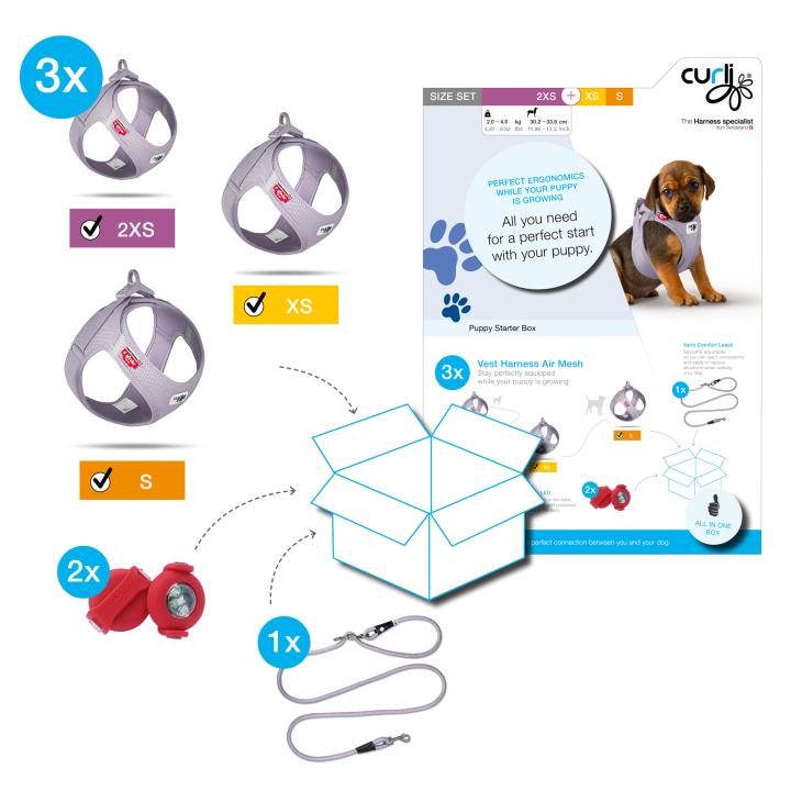 CURLI Hundegeschirr PUPPY Starter Box Lilac