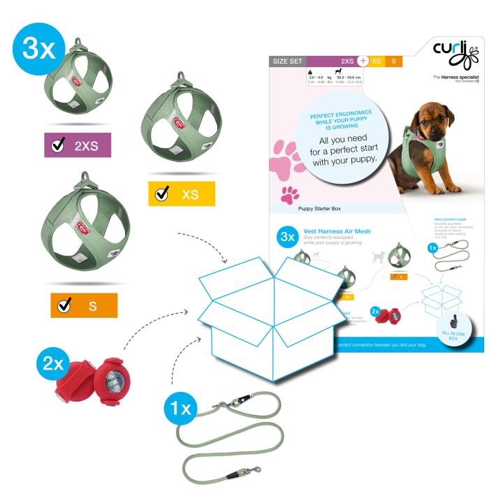 CURLI Hundegeschirr PUPPY Starter Box Olive