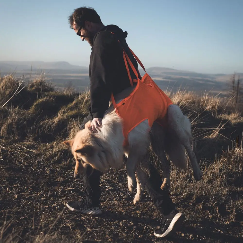 Tragebild Hundeausrüstung Dog rescue sling orange - non-stop dogwear