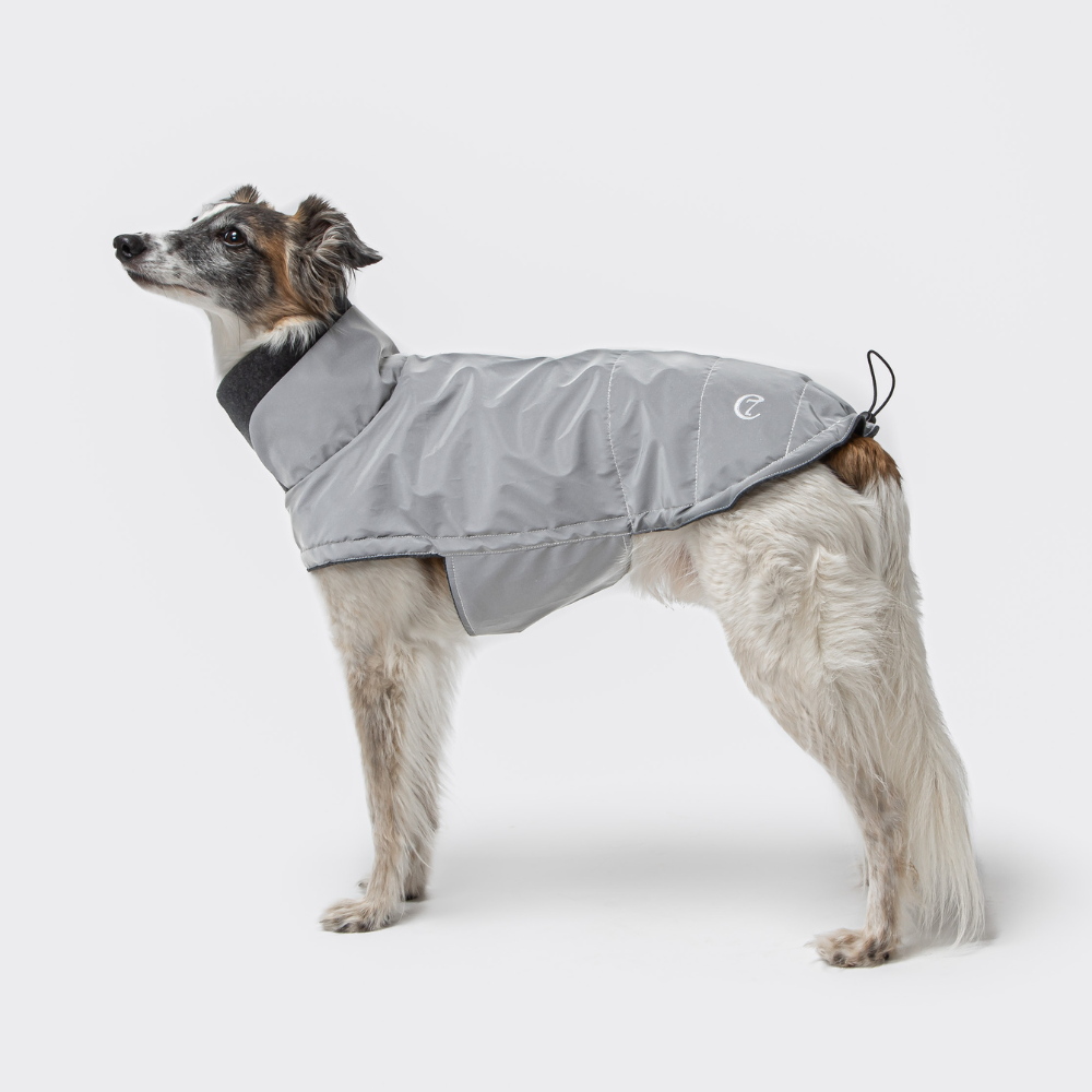 Tragebild Cloud7 Hundemantel Brooklyn Reflective