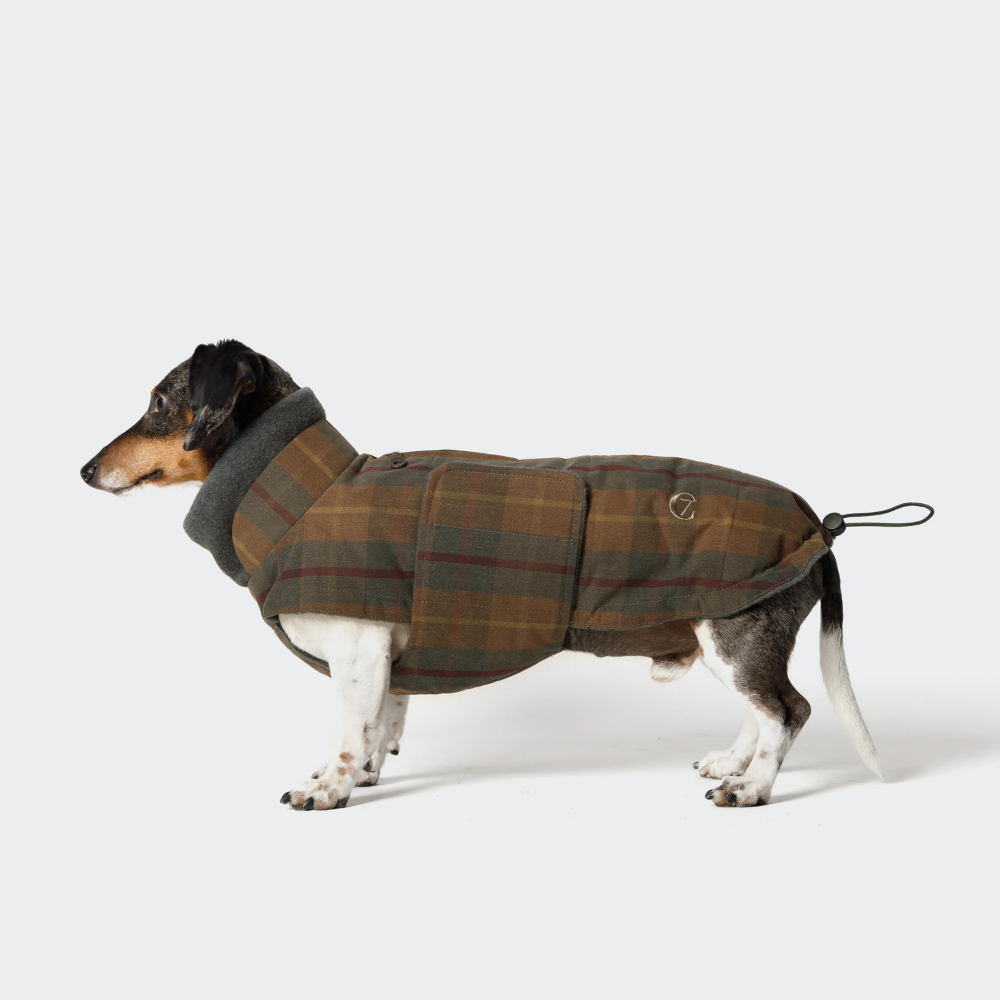 Tragebild Cloud7 Hundemantel DACKEL Brooklyn Waxed Tartan