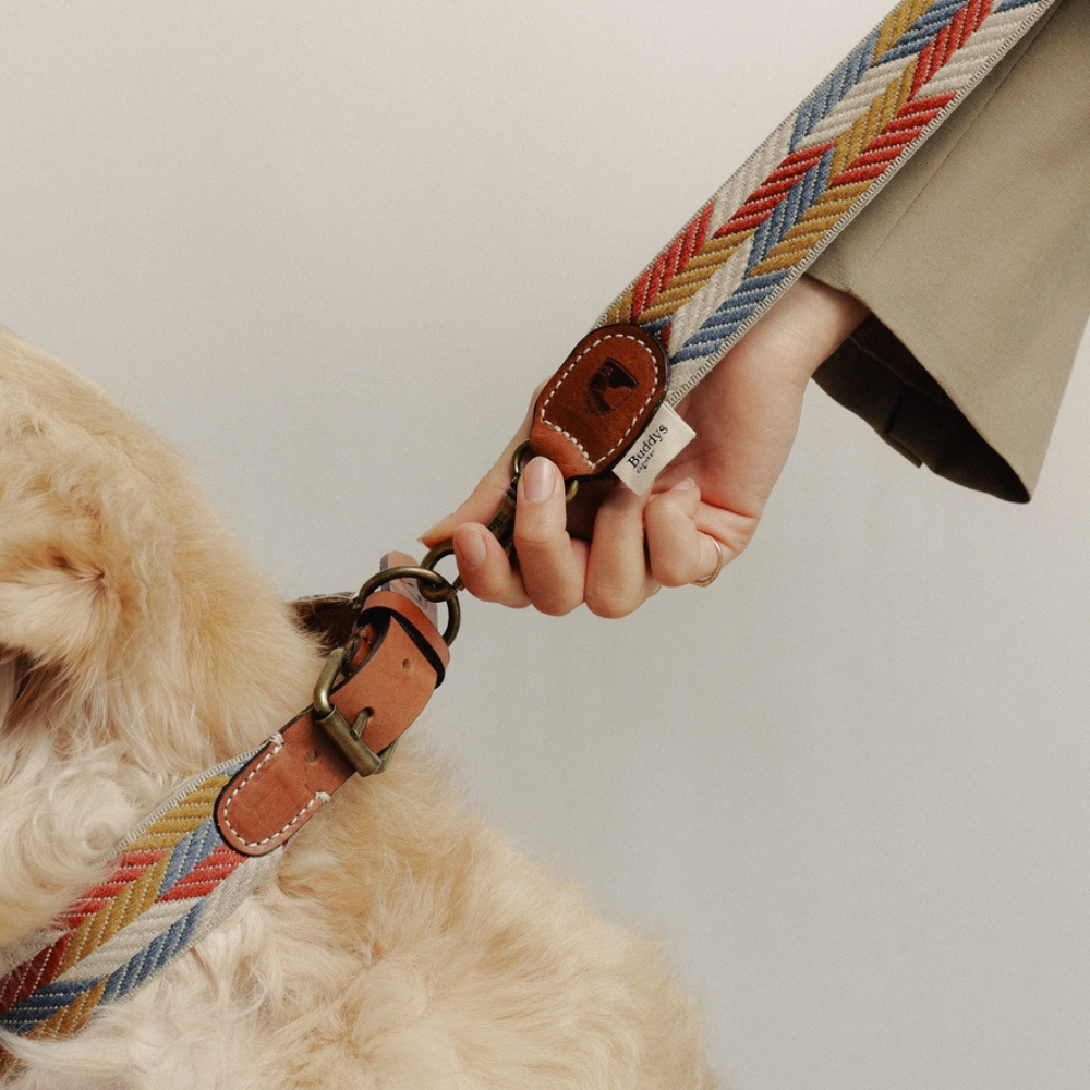 Tragebild Halsband & Leine Naya Puzzle - Buddys Dogwear