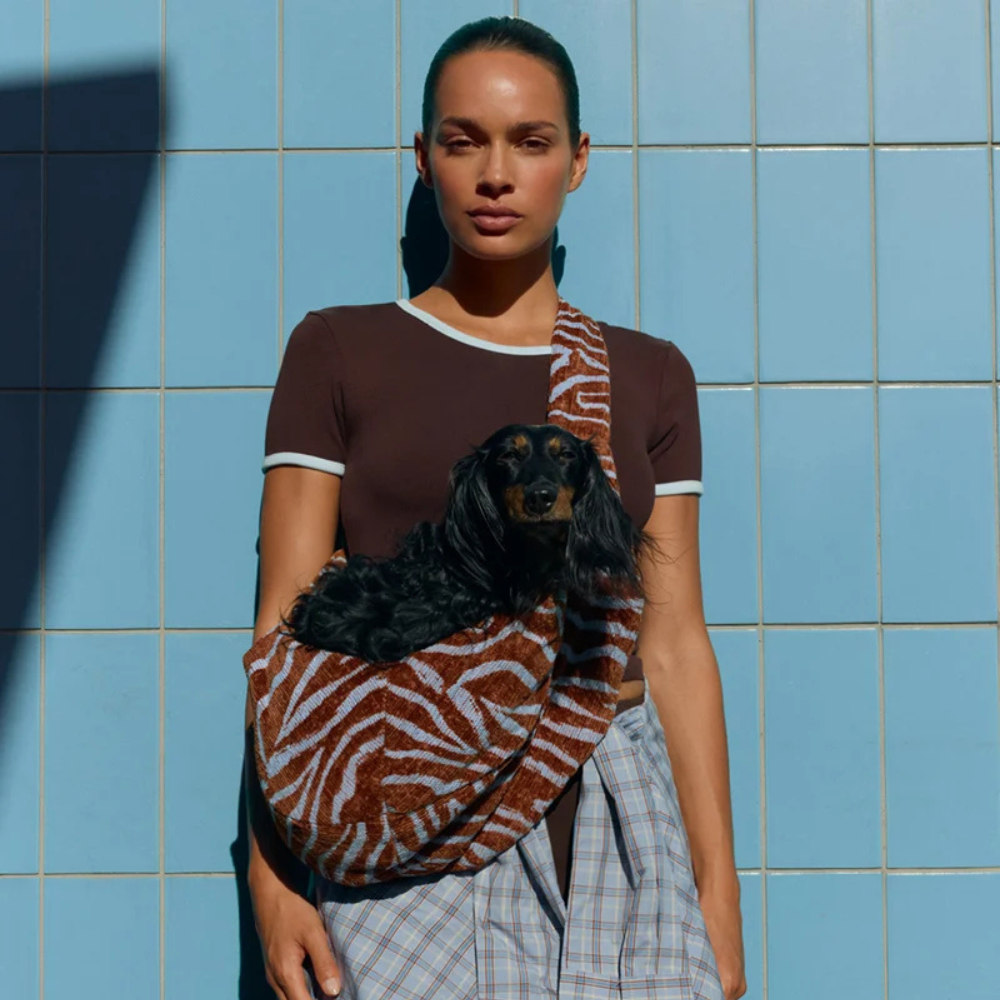 Tragebild Hund in Ethnic Hundetragetasche Brown/Blue - DOGGUO
