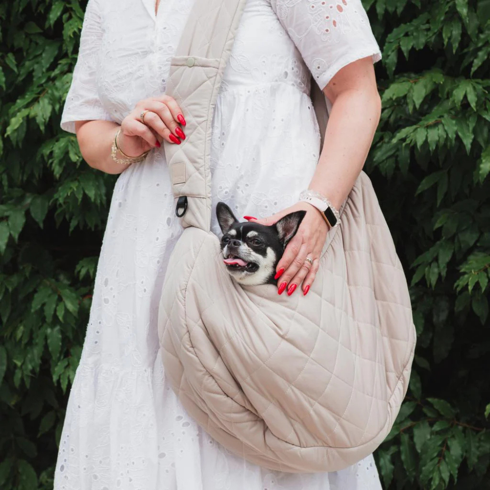 Tragebild Hund in Hundetragetasche Sandstein - FuzzYard