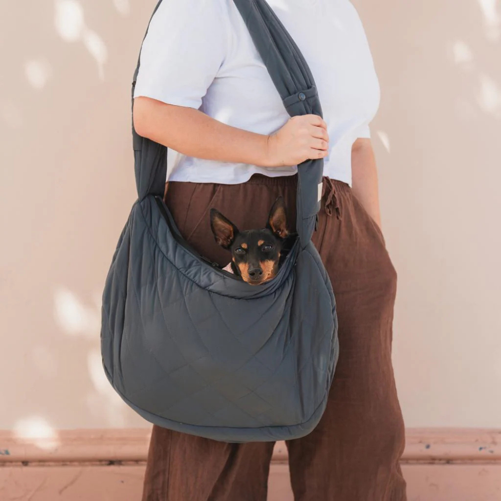 Tragebild Hund in Hundetragetasche Schiefergrau - FuzzYard