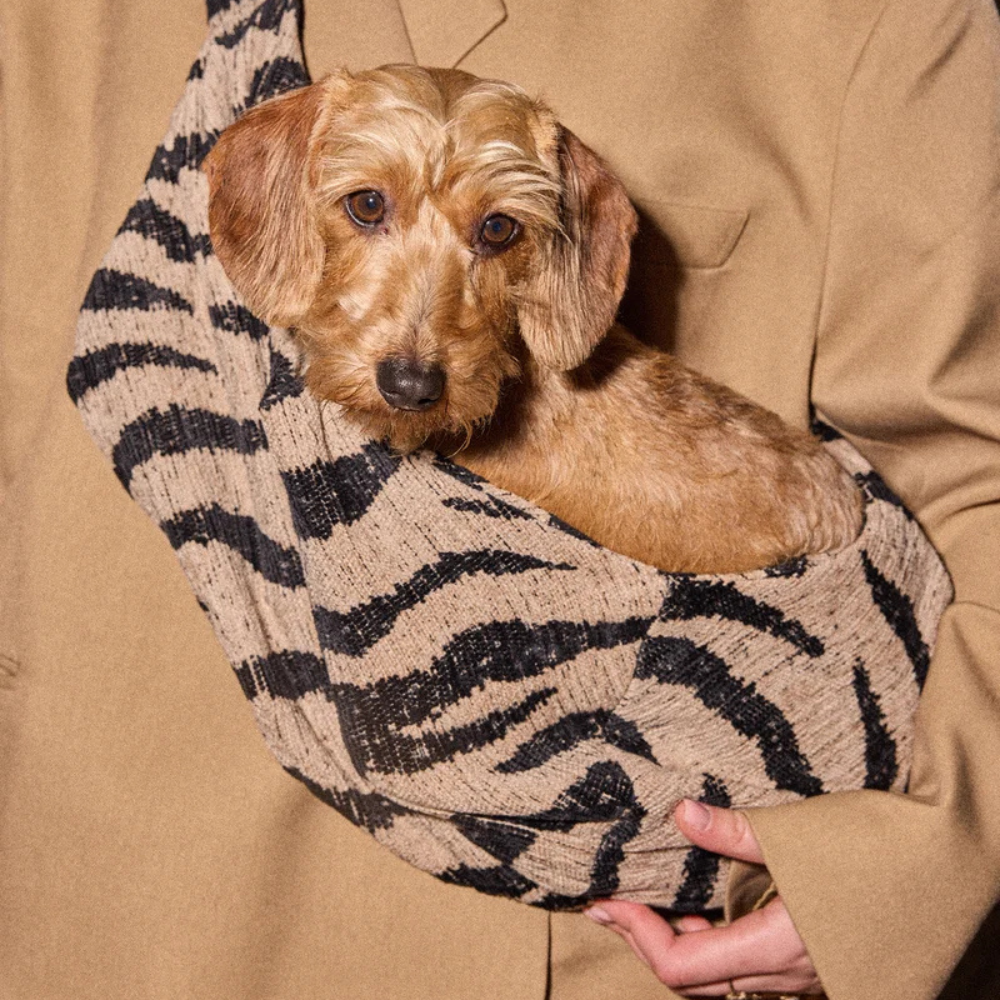 Tragebild Hund in Zebra Hundetragetasche Beige/Black - DOGGUO