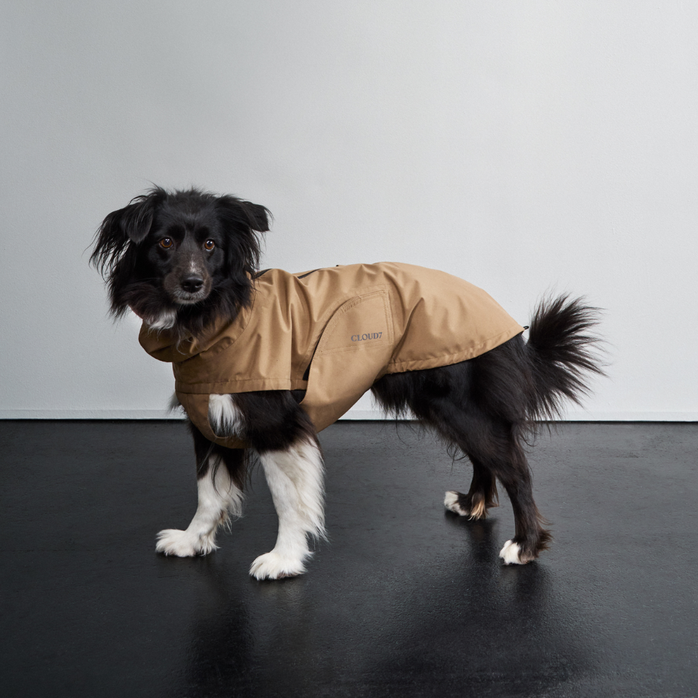 Tragebild Cloud7 Hunderegenmantel Dublin 2.0 Sandy Brown
