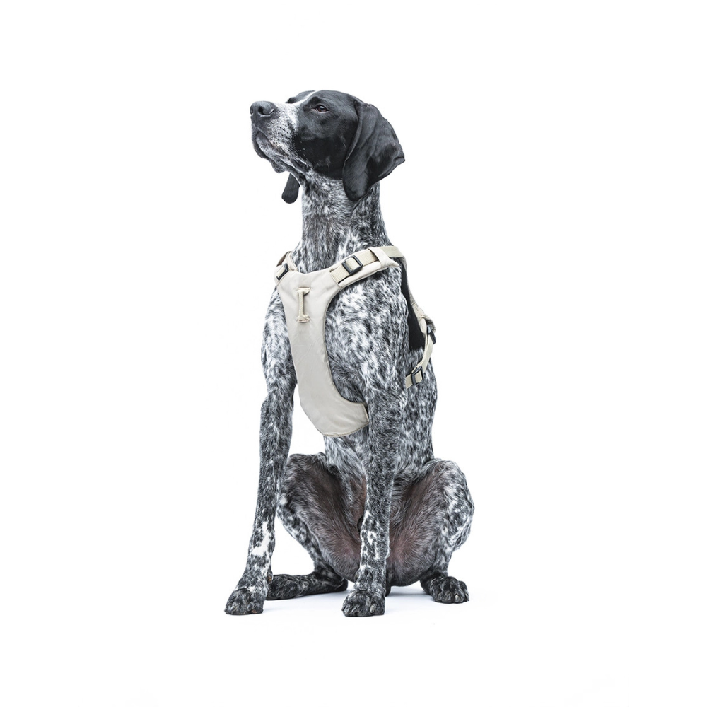 Tragebild Hund mit Hundegeschirr weich gepolstert Taupe - United Pets