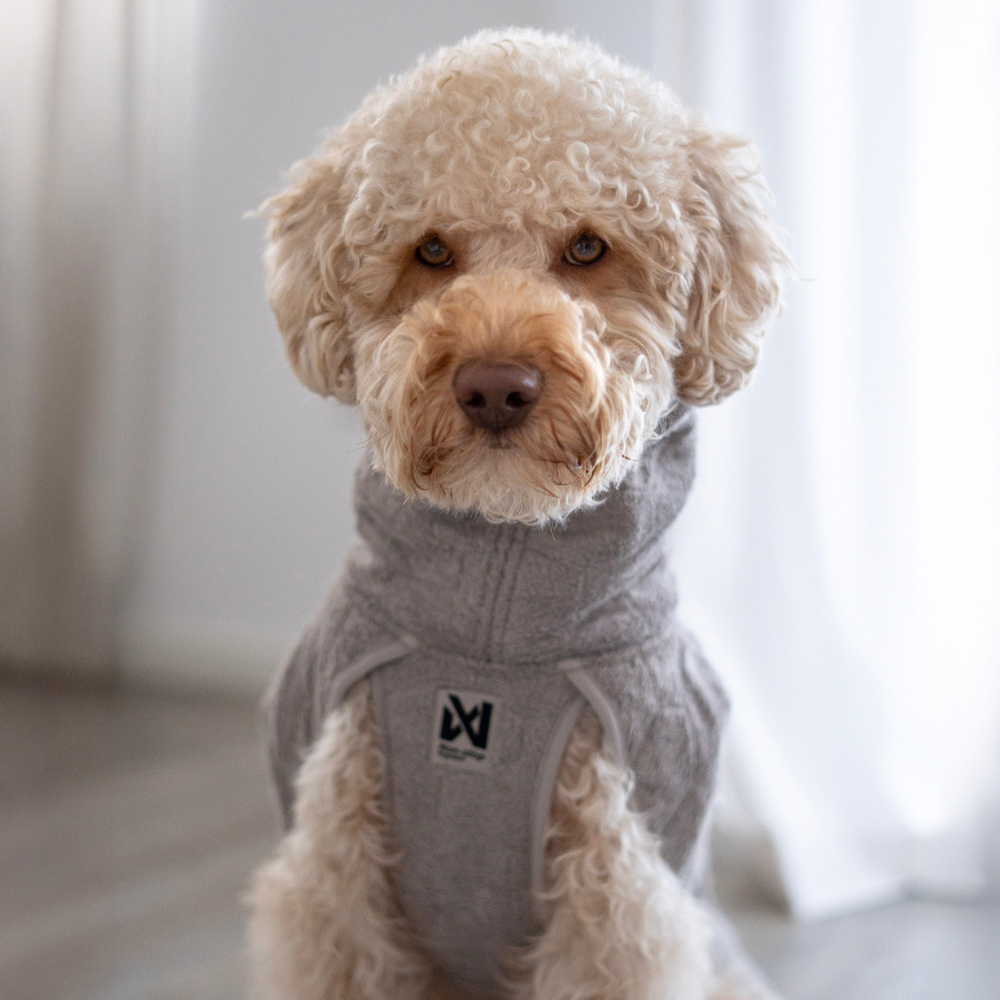 Tragebild Hundebademantel DRYING COAT Sand - non-stop dogwear