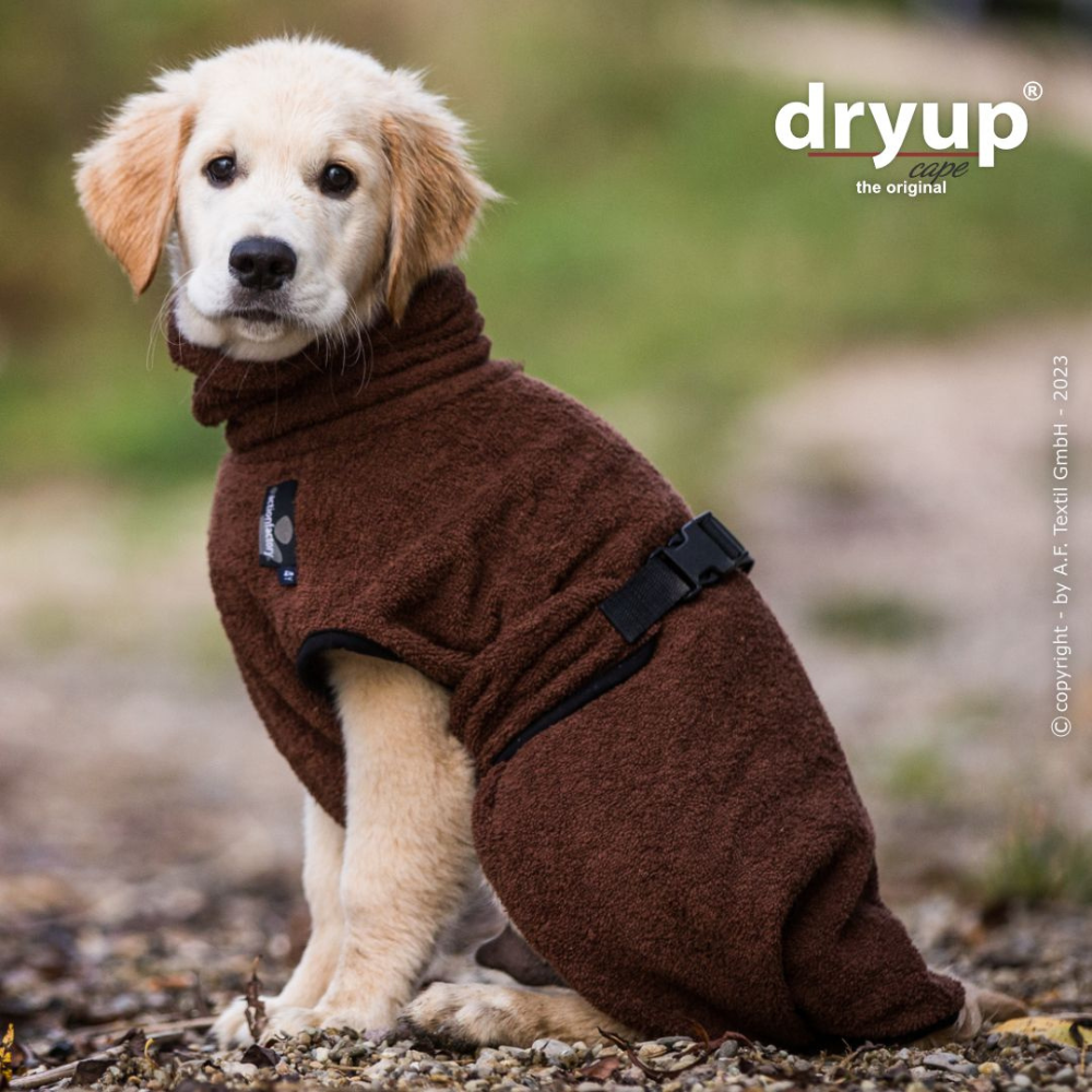 Tragebild Hundebademantel DRYUP Cape MINI BROWN - actionfactory