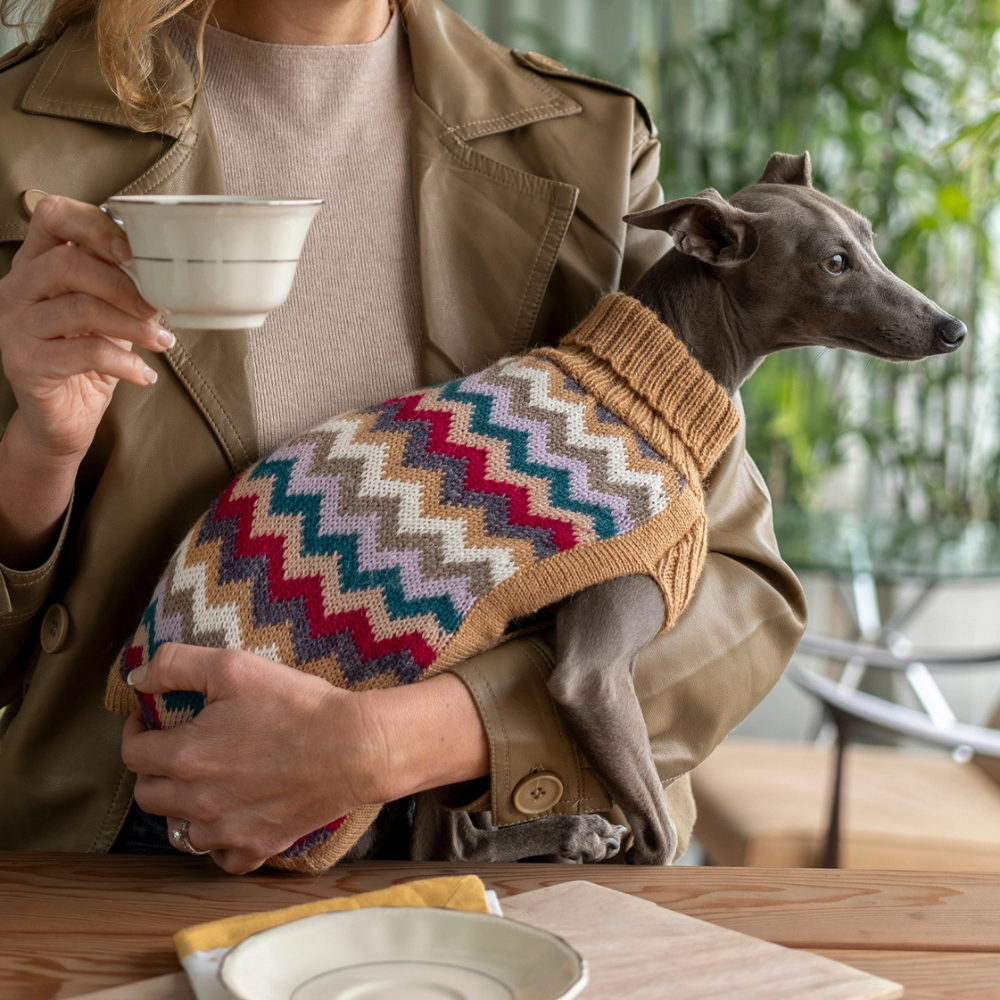 Tragebild Hundepullover Chevron Camel aus Alpaka - Alqo Wasi