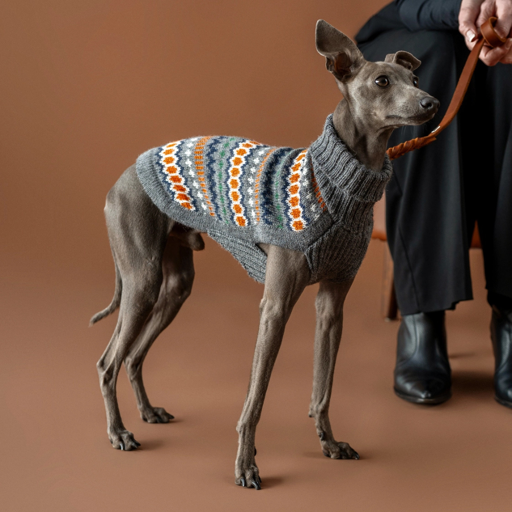 Tragebild Hundepullover Hexagon Grau aus Alpaka - Alqo Wasi