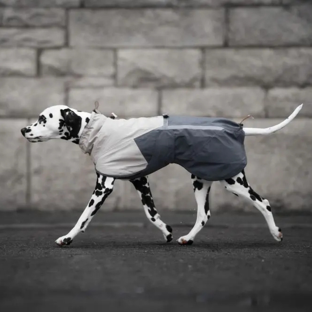 Tragebild Hunderegenmantel FJORD Raincoat 2.0 Gray - non-stop dogwear
