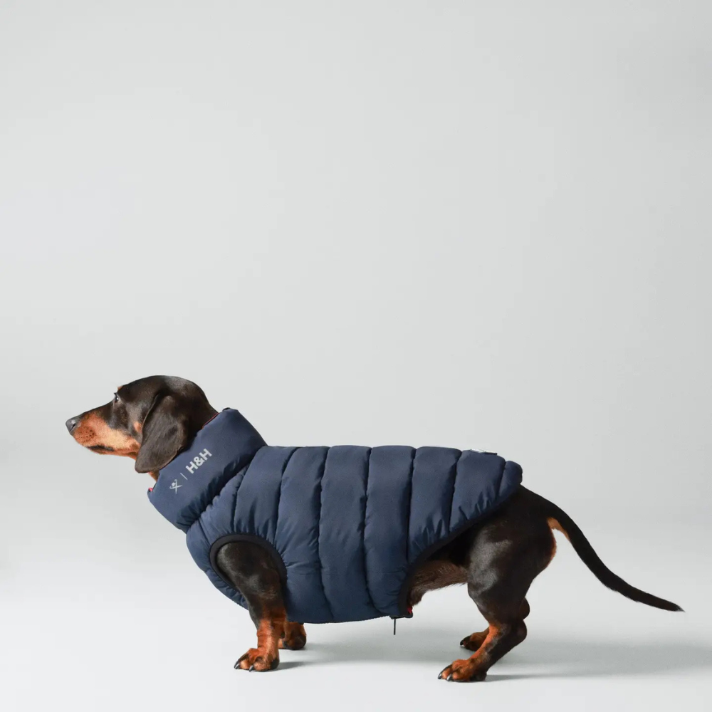 Tragebild Hundewendejacke Marineblau - Hugo & Hudson