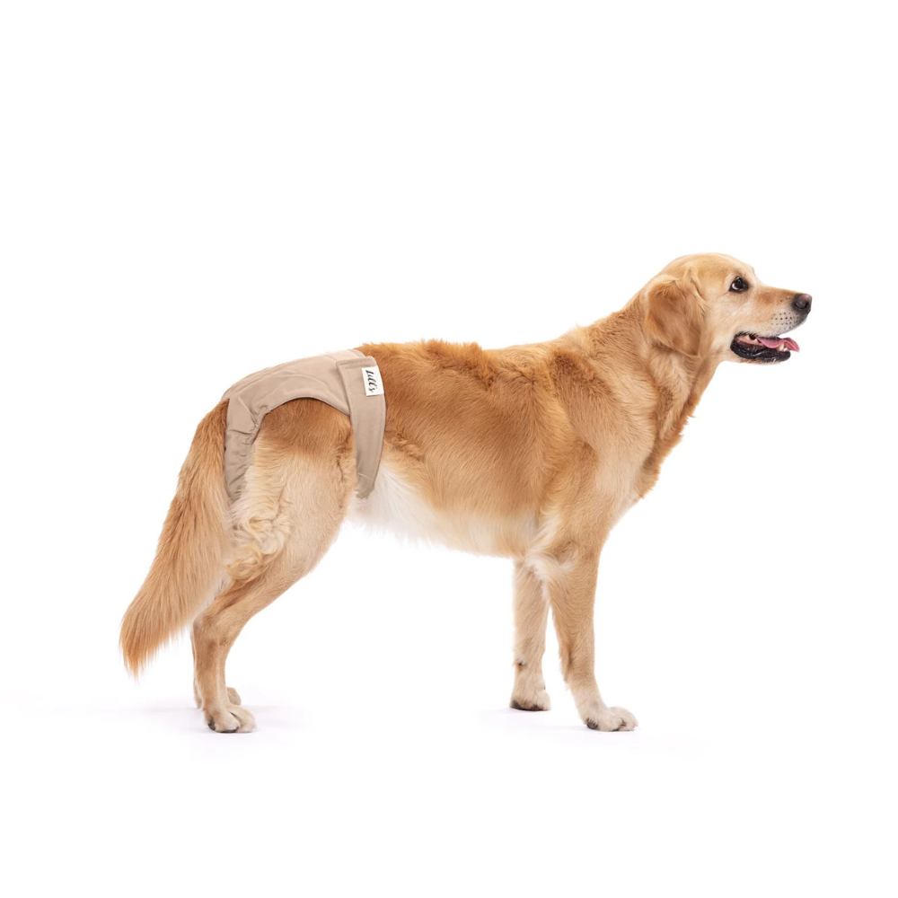 Tragebild Läufigkeitshöschen LOU aus Bio-Baumwolle SAND - lill's