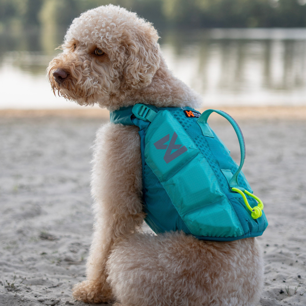 Tragebild Schwimmweste PROTECTOR Life Jacket Teal - non-stop dogwear