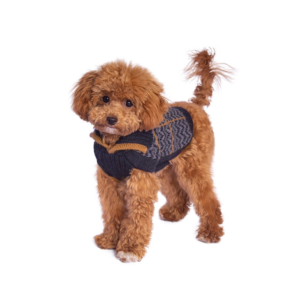 Tragebild kleiner Hund mit Hundepullover Preppy Blue aus Alpaka - Alqo Wasi