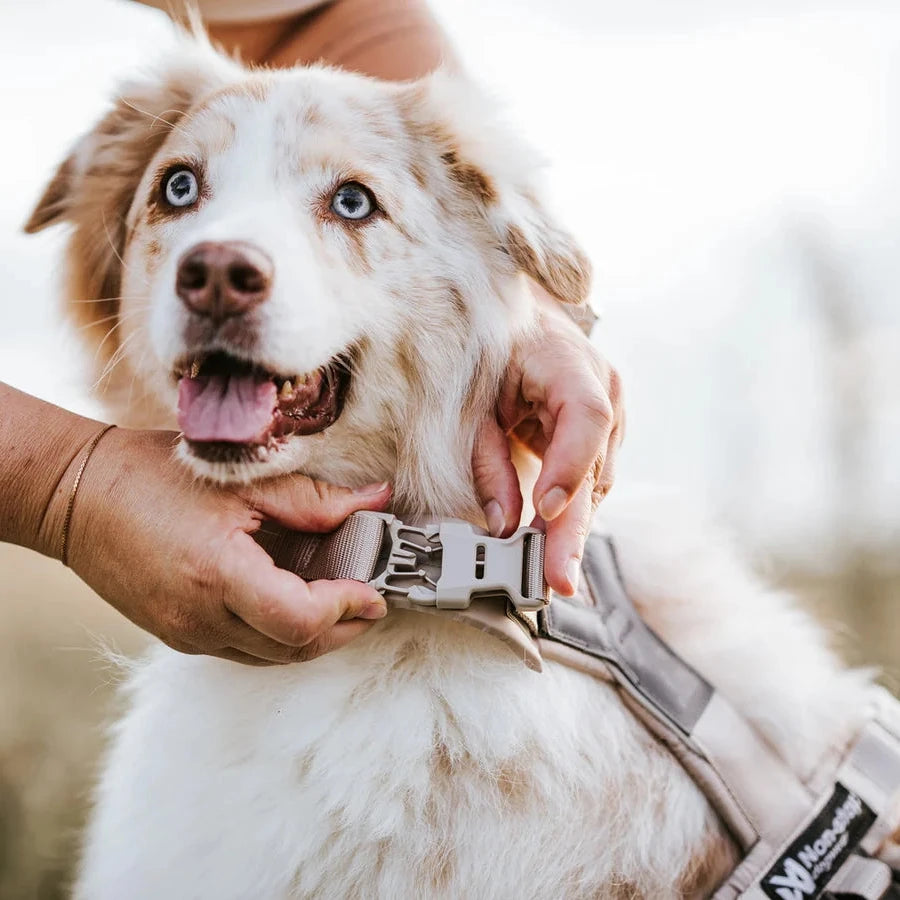 Hundegeschirr Trekking line harness CLIP'N™ Sand