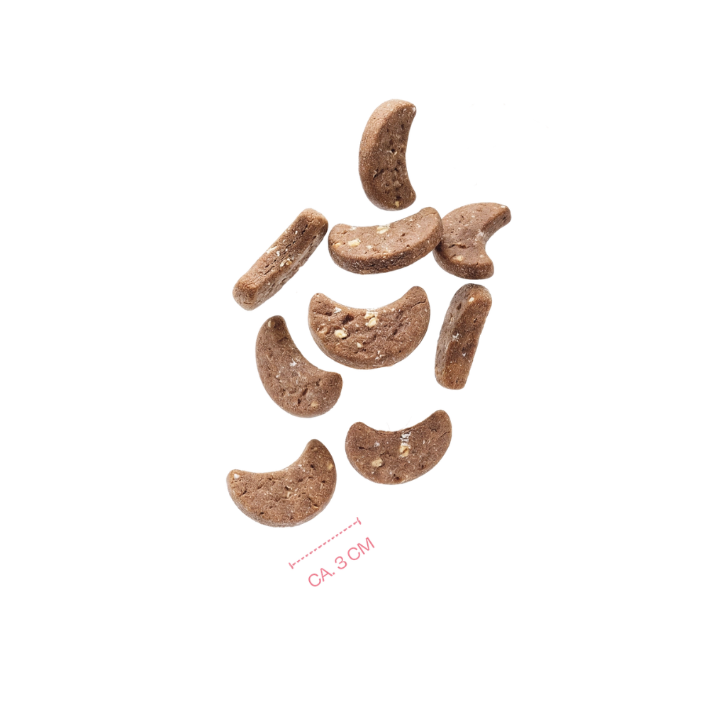 VEGDOG Winter Cookies für Hunde VEGAN