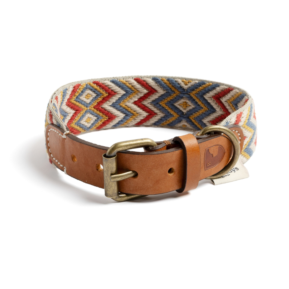 Verschluss Halsband Naya Zickzack - Buddys Dogwear