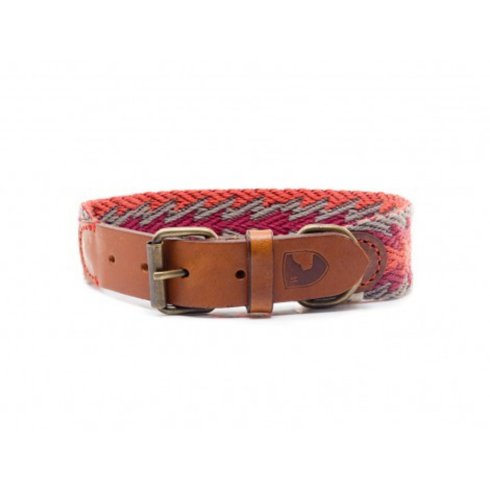 Verschluss Halsband Peruvian Arrow ORANGE - Buddys Dogwear