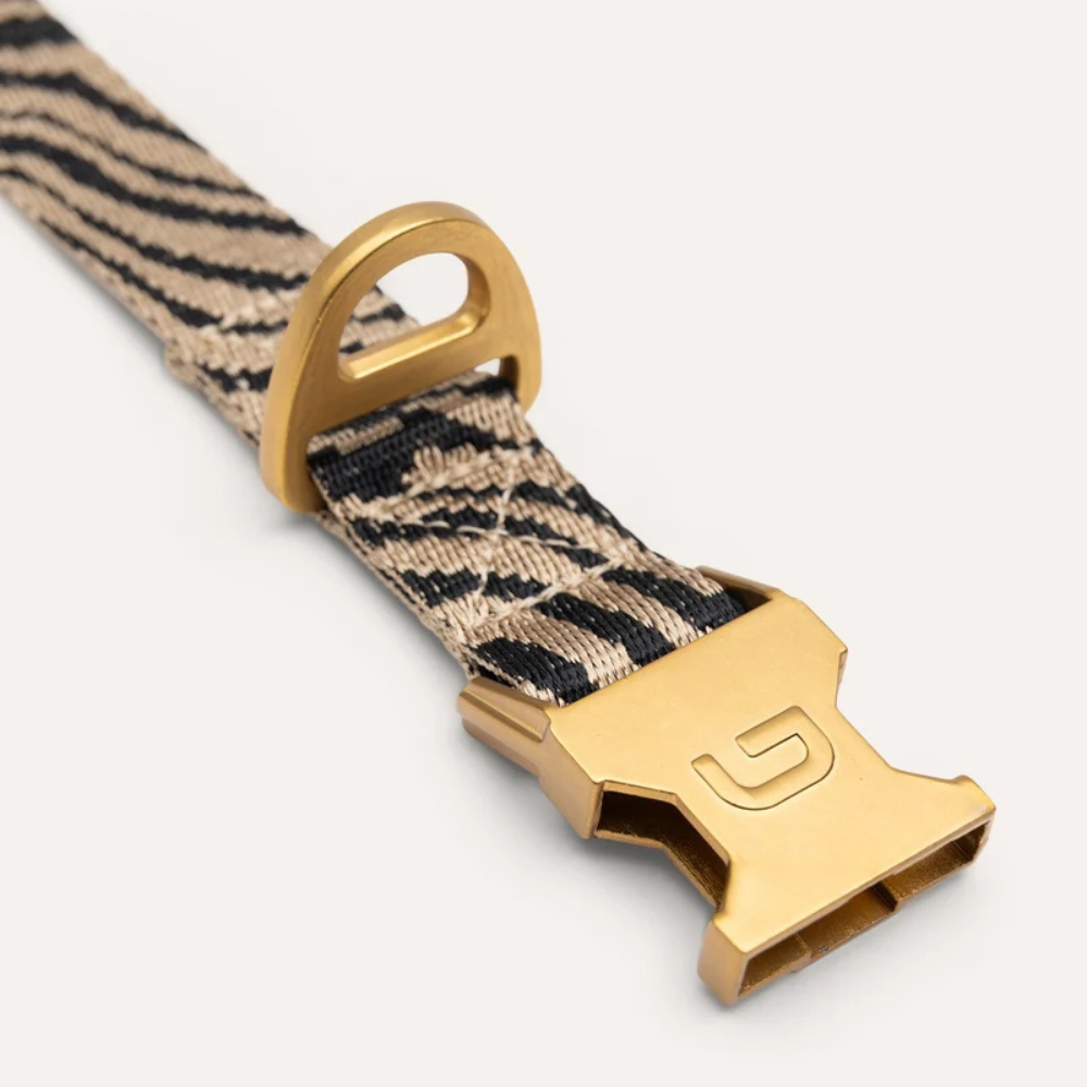 Verschluss Zebra Hundehalsband Beige/Black - DOGGUO