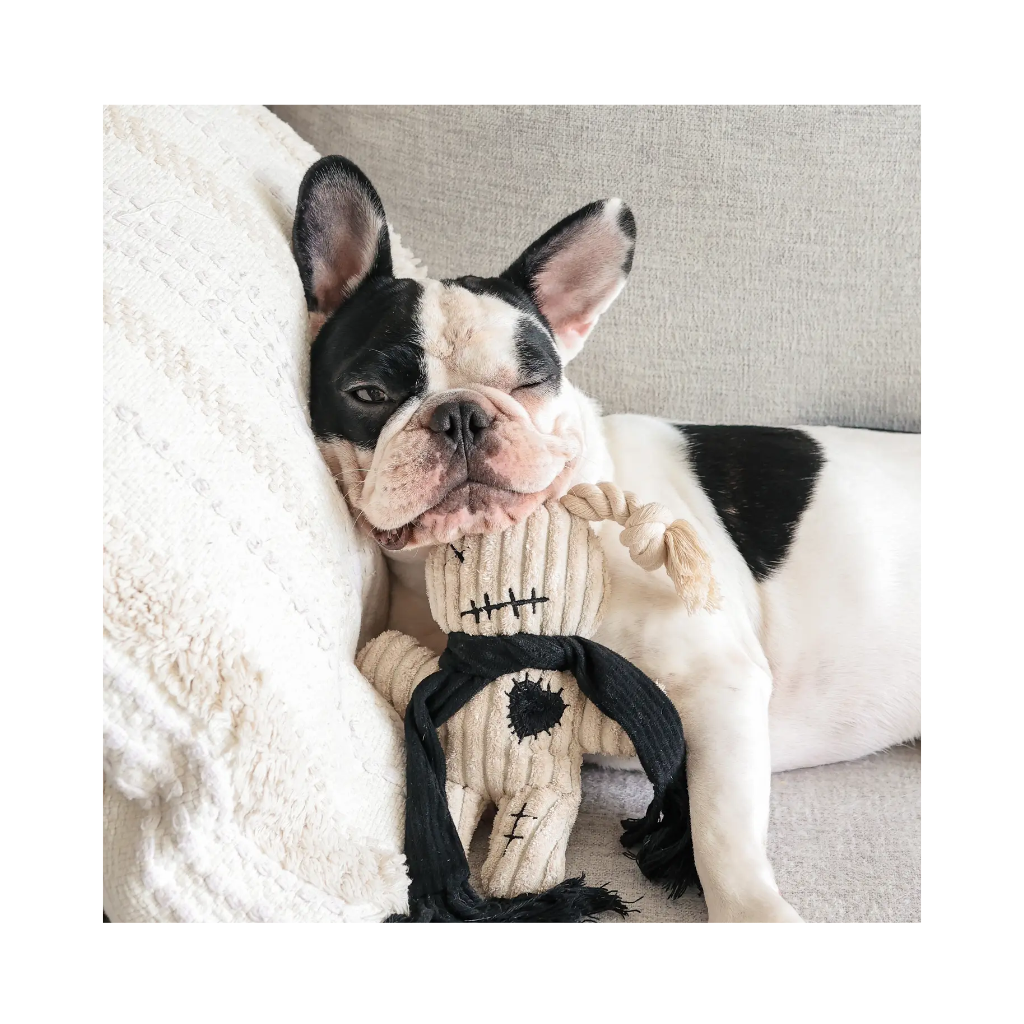 Frenchie mit Hundespielzeug VOODOO | Halloween - Lambwolf Collective