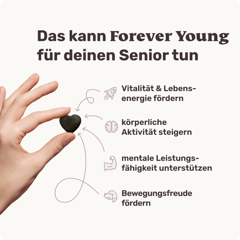 Vorteile Forever Young Vital-Snack für ältere Hunde - mammaly