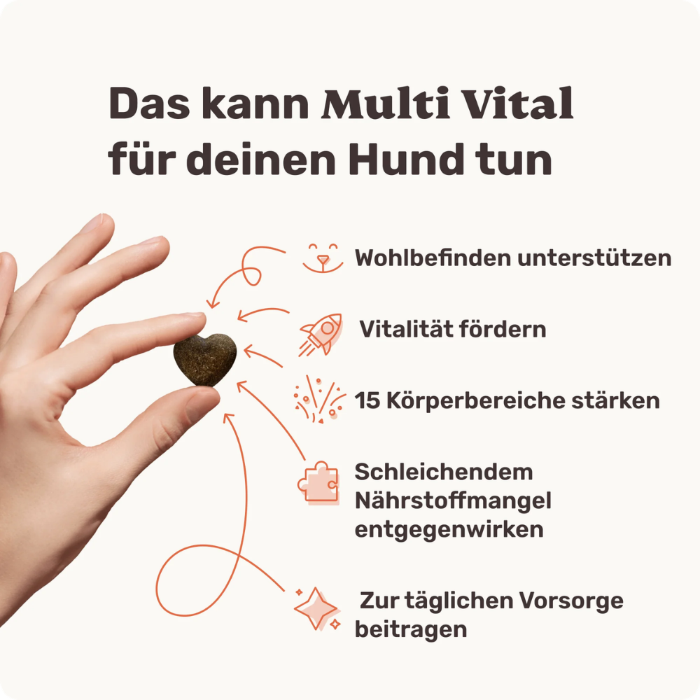 Vorteile Multi Vital Multivitamin-Snack für Hunde - mammaly