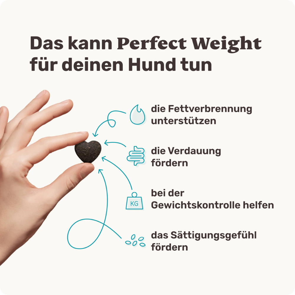 Vorteile Perfect Weigth Abnehm-Snack für Hunde - mammaly
