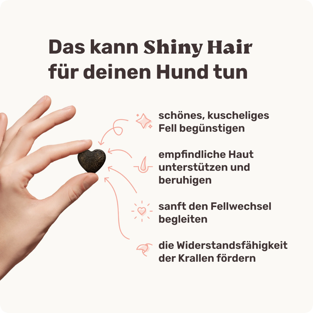 Vorteile Shiny Hair Fellpflege-Snack für Hunde - mammaly