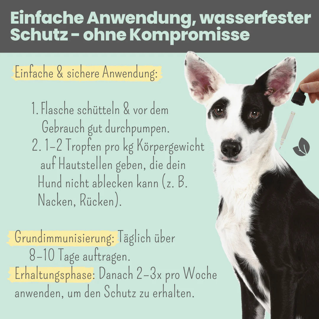 noms+ Zpot-on gegen Zecken, Flöhe, Milben & Mücken