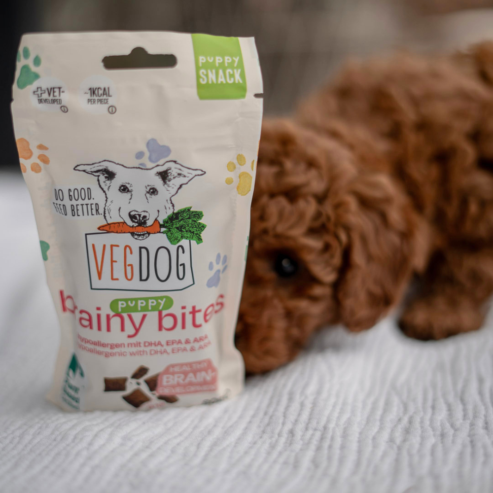 Welpe mit VEGDOG Brainy Bites