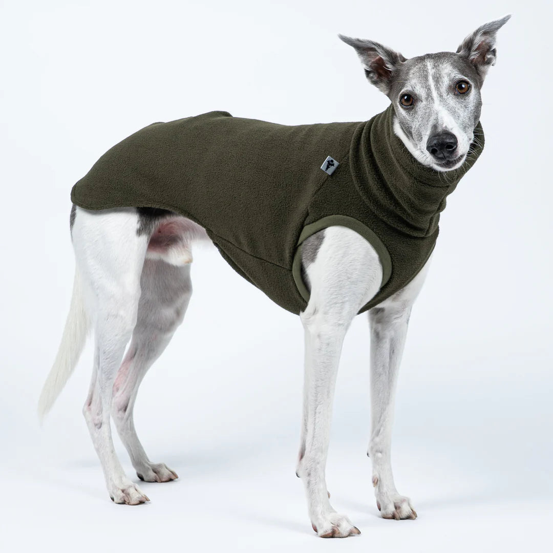 KARMA HUND Longshirt für Windhund in Dark Olive