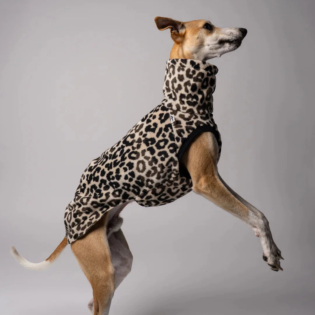 KARMA HUND Longshirt 2.0 für Whippet, Windhunde, Podenco, Galgo in Leo
