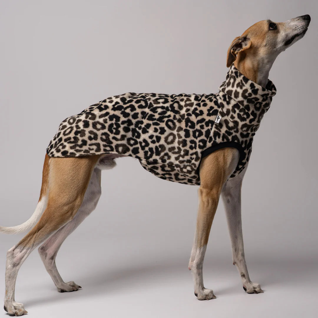 KARMA HUND Longshirt 2.0 für Whippet, Windhunde, Podenco, Galgo in Leo