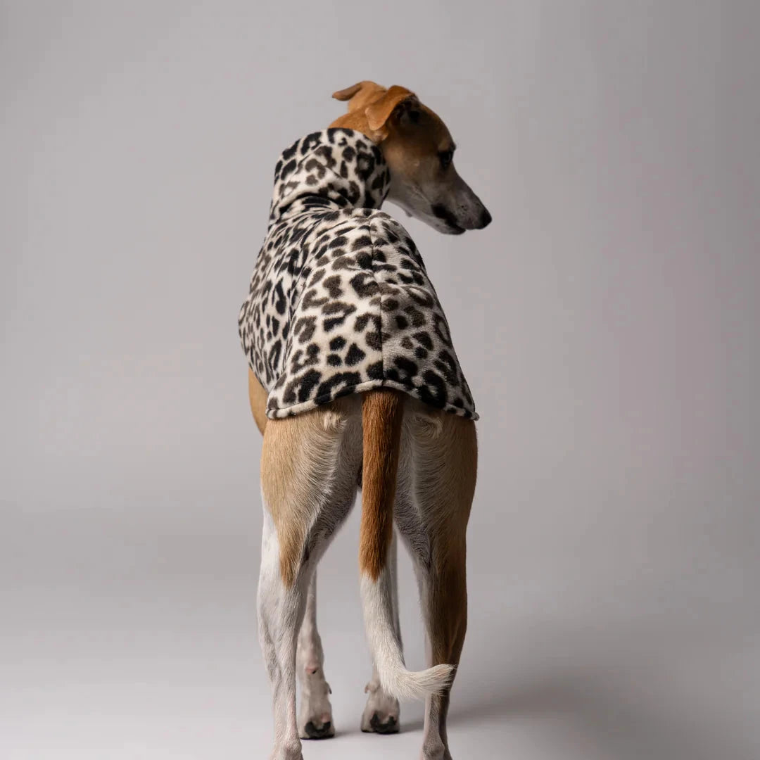 KARMA HUND Longshirt 2.0 für Whippet, Windhunde, Podenco, Galgo in Leo