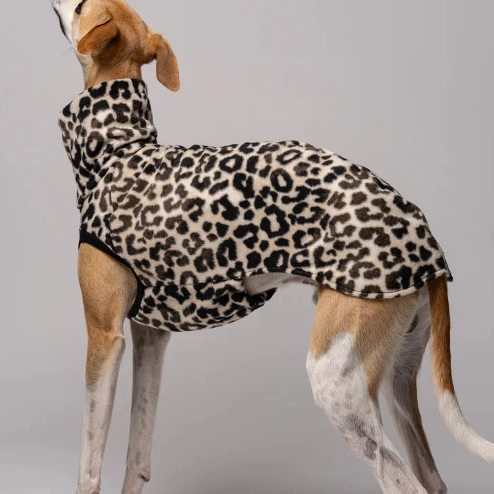 KARMA HUND Longshirt 2.0 für Whippet, Windhunde, Podenco, Galgo in Leo