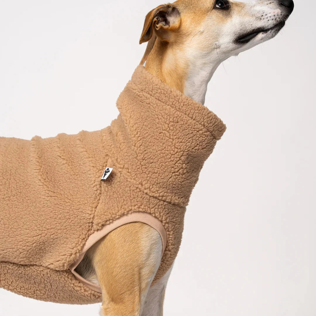 KARMA HUND Teddy Shirt für Windhund in Camel