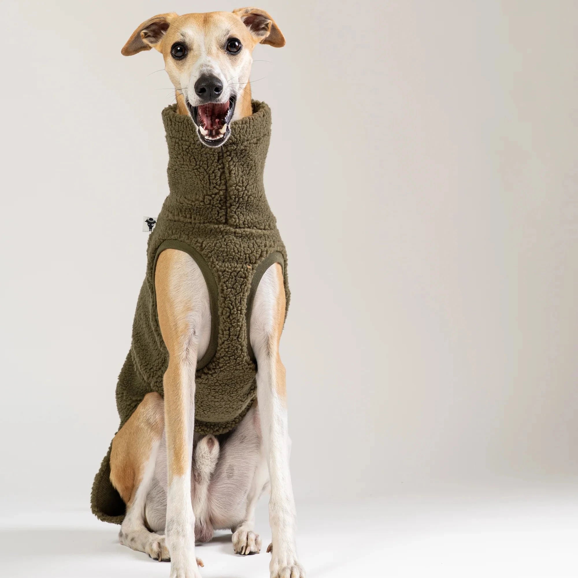 KARMA HUND Teddy Shirt für Windhund in Dark Olive