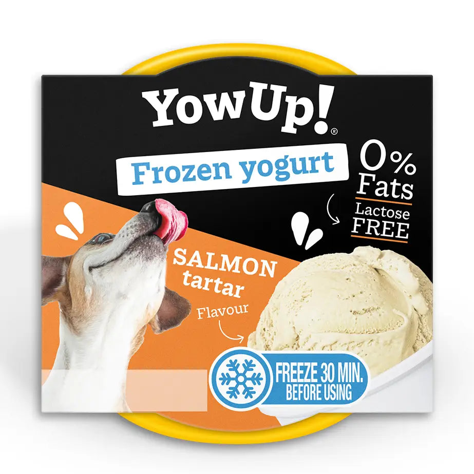 YowUp! Hundeeis Hunde Eiscreme Joghurt Salmon